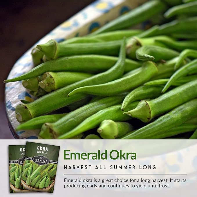 Survival Garden Seeds - Emerald Okra Seed for Planting - Packet with Instructions to Plant and Grow Tender and Large Okra in Your Home Vegetable Garden - Non-GMO Heirloom Variety - 3 Pack