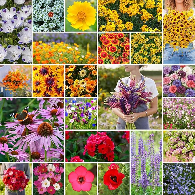 Eden Brothers Southeast Wildflower Mixed Seeds for Planting, 25 lb, 12,000,000+ Seeds with Cornflower, Blanket Flower | Attracts Pollinators, Plant in Spring or Fall, Zones 3, 4, 5, 6, 7, 8, 9, 10