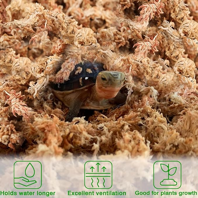 Halatool Sphagnum Moss, 3OZ(4QT) Natural Sphagnum Moss for Plants, Premium Long Fiber Dried Sphagnum Peat Orchid Moss for Repotting Carnivorous Succulents Garden Flowers Terrarium and Reptiles