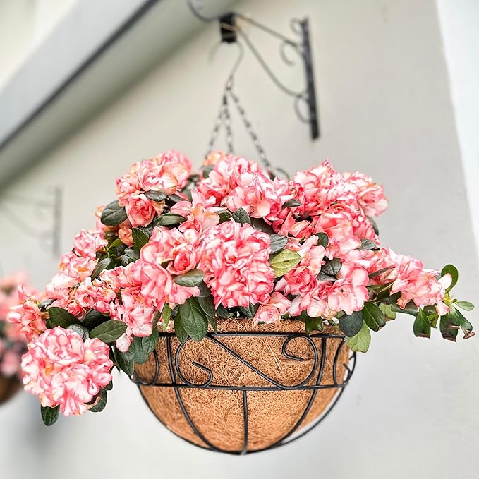 LaLaGreen Hanging Planter for Outdoor Plants (2 Pack, 16 Inch) Hanging Baskets with Coco Liner, Metal Wire Flower Basket Pots with Hook Hanger Balcony Porch Farmhouse Country Style Garden Decor