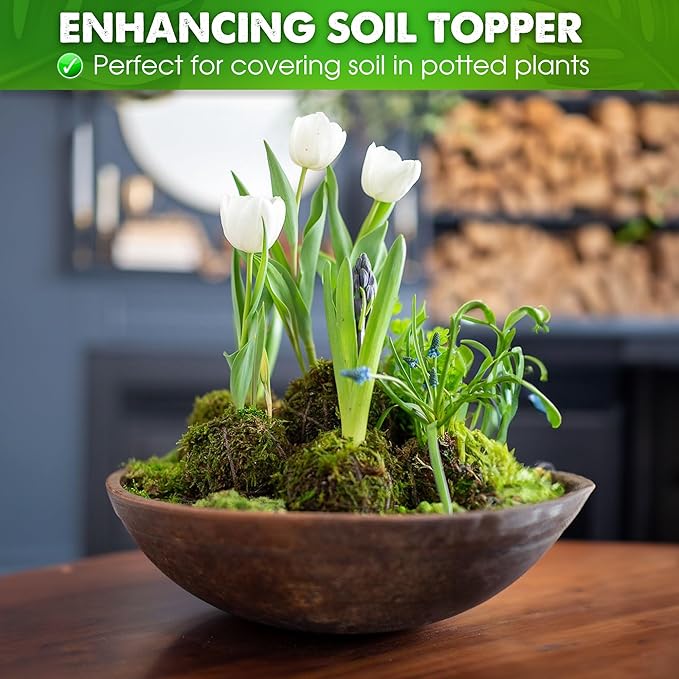 DUSPRO 10oz Dried Forest Moss for Potted Plants, Ideal for Orchid Moss Potting Mix Indoor Moisture Repotting Orchid Soil Medium, Terrarium Decor, Natural Reptile Vine