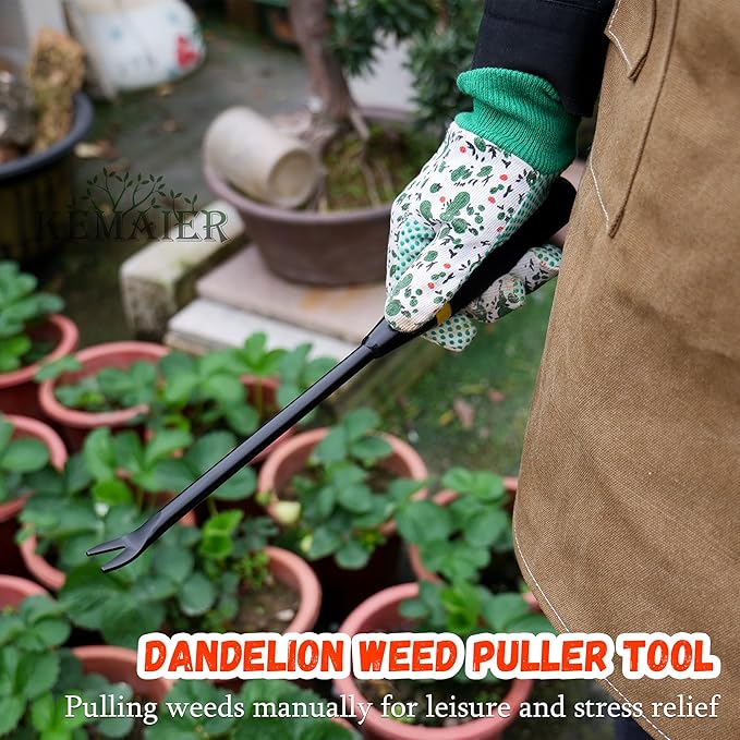 2-Piece Heavy-Duty Stainless Steel Garden Weeding Tool Set with Weed Puller and Crack Weeder, Quantang Handle