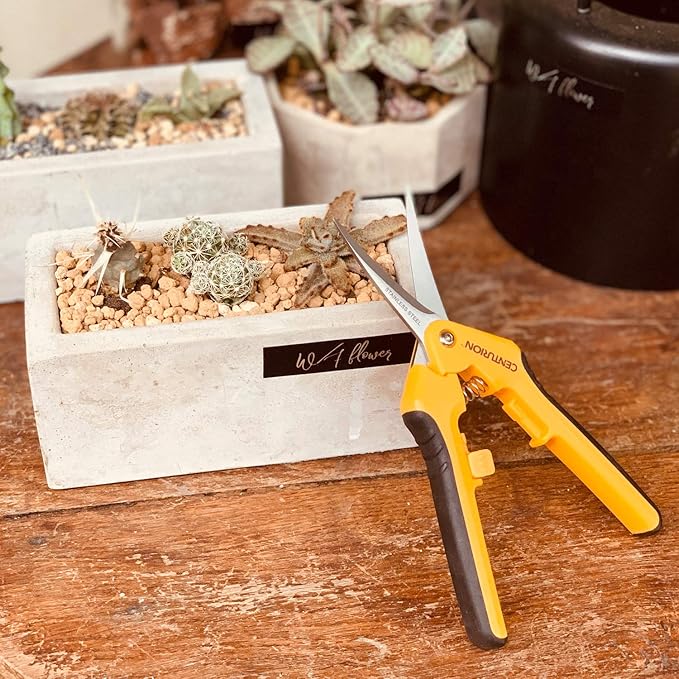 Centurion 201 Hand Pruner Shears, 2-Piece Set, 6½" Straight & Upward Curved Stainless Steel Blades, Hardened & Precision Ground, Ideal for Indoor and Outdoor Gardening, Trimming, and Precision Cutting