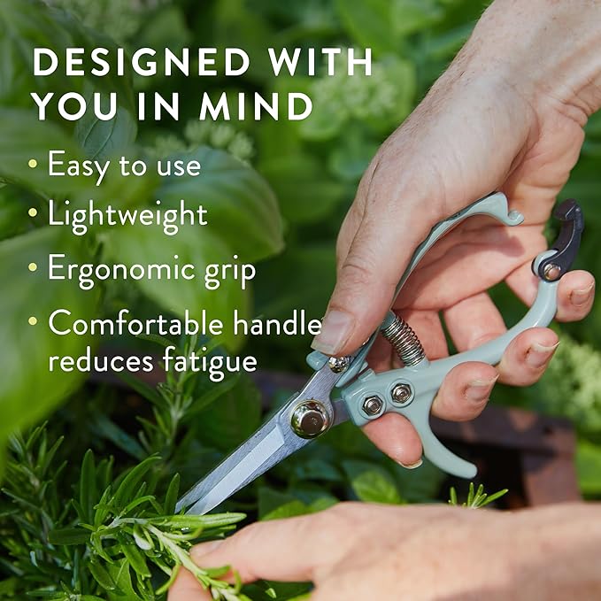 Modern Sprout Pruning Shears for Gardening, Herb Snips, Flower Cutting Scissors, Indoor Plant Shears, Lightweight, Ergonomic, Carbon Steel Blade, Easy-Lock Safety, Aesthetic (Lavender)