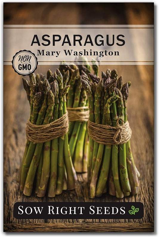 Sow Right Seeds - Mary Washington Asparagus Seed for Planting - Non-GMO Heirloom Packet with Instructions to Plant an Outdoor Home Vegetable Garden - Classic Perennial Stalks with Hearty Flavor (1)