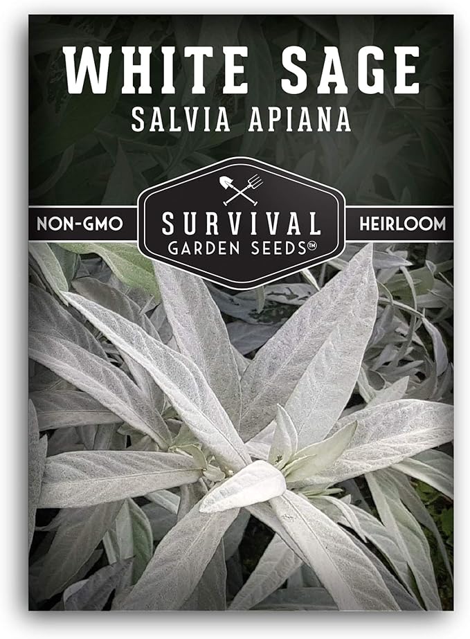 Survival Garden Seeds - 1 Packet White Sage Seed for Planting - Grow Sustainable Smudging Herbs - Packet with Instructions to Plant & Grow in Your Home Garden - Non-GMO Heirloom Variety