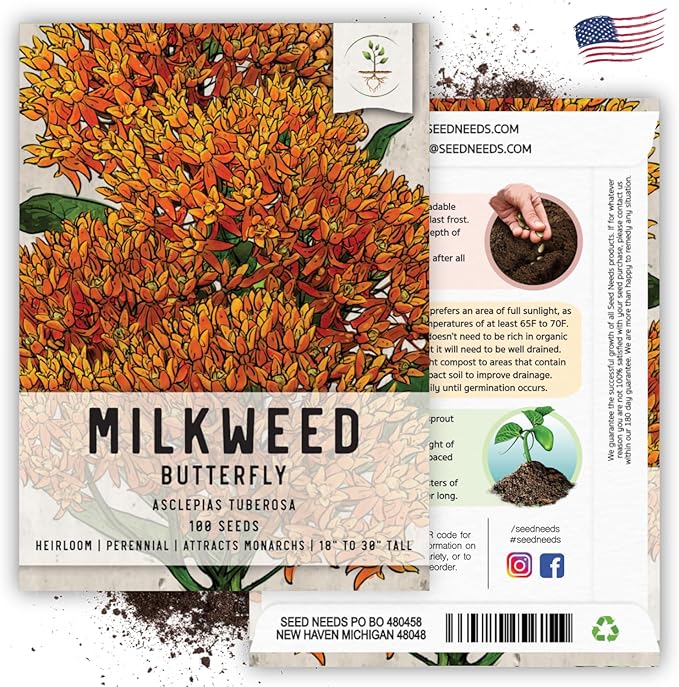 Seed Needs Orange Butterfly Milkweed Seeds for Planting - Heirloom & Untreated - Grow a Butterfly Garden to Attract Monarch Butterflies & Pollinators (5 Packs)