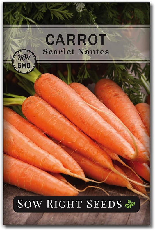 Sow Right Seeds - Scarlet Nantes Carrot Seed for Planting - Non-GMO Heirloom Packet with Instructions to Plant a Home Vegetable Garden - Indoors or Outdoor - Sweet and Vibrant Variety (1)