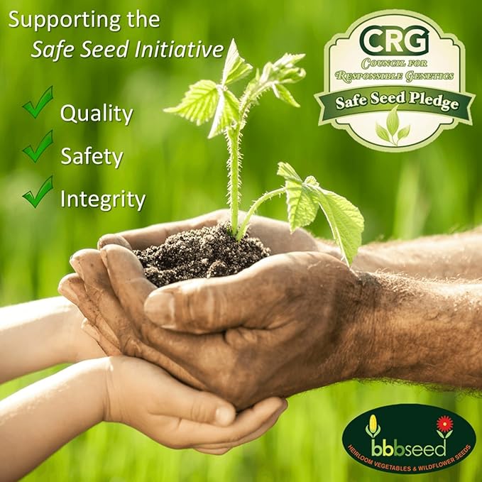 Partial Shade Wildflower Seeds -1 oz, Open-Pollinated Wildflower Seed Mix Packet, No Fillers, Annual, Perennial Wildflower Seeds Year Round Planting - 1 oz