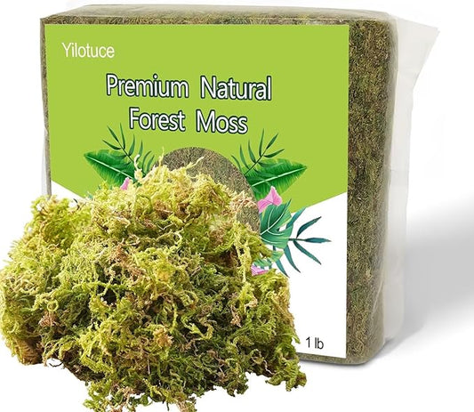 1 lb Natural Orchid Moss for Potted Plants, Nice Soilless Potting Soil for Seedling and Cutting, Good Idea for Reptile Terrarium, Crafts, Garden Decoration