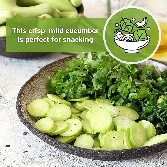 Sow Right Seeds - Armenian Pale Green Cucumber Seeds for Planting - Non-GMO Heirloom Packet with Instructions to Plant and Grow a Home Vegetable Garden - Yard Long Variety for Outdoors (4)