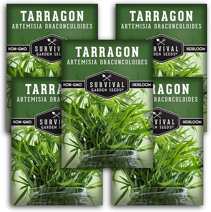 Survival Garden Seeds - Russian Tarragon Seed for Planting - 5 Packs with Instructions to Plant and Grow Big Flowering Herbs in Your Home Vegetable Garden - Non-GMO Heirloom Variety