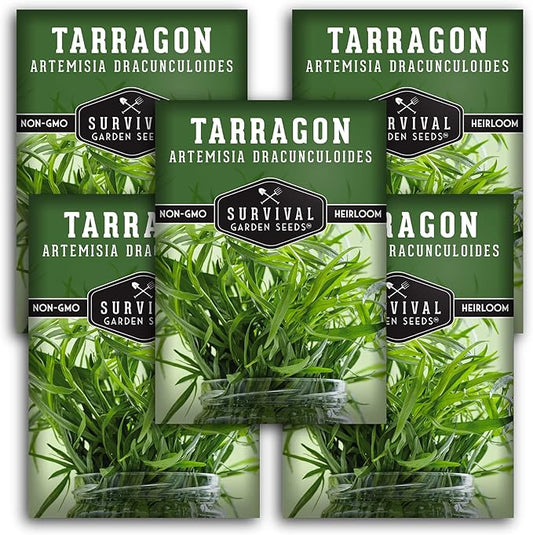 Survival Garden Seeds - Russian Tarragon Seed for Planting - 5 Packs with Instructions to Plant and Grow Big Flowering Herbs in Your Home Vegetable Garden - Non-GMO Heirloom Variety