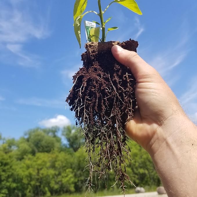 Daniel's Plants 4" Naked Pots | Large Natural Plantable Seed Starter Pots | OMRI-Listed Biodegradable Pots for Seedlings | Enhanced Aeration | Earth Freindly - Peat Free | 10 Pack 4 Inch Round