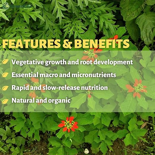 Pride Lands Veg Premium Organic Dry Top Dress Fertilizer for The Vegetative Cycle, Bigger Buds and Healthier Plants with Our Complete Veg Food, Safe for Plants You Consume, 10 lb