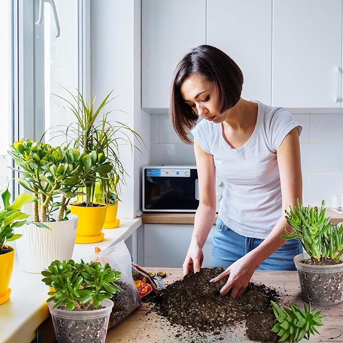 Succulent & Cactus Soil Potting Mix 2qt, Pre-Mixed Ready to Use with Fast Draining Fits for Bonsai, Terrarium and Houseplant