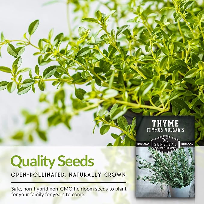 Survival Garden Seeds - Thyme Seed for Planting - 5 Packs with Instructions to Plant and Grow Thymus Vulgaris Herb Plants in Your Home Vegetable Garden - Non-GMO Heirloom Variety - Seed Planting Herb