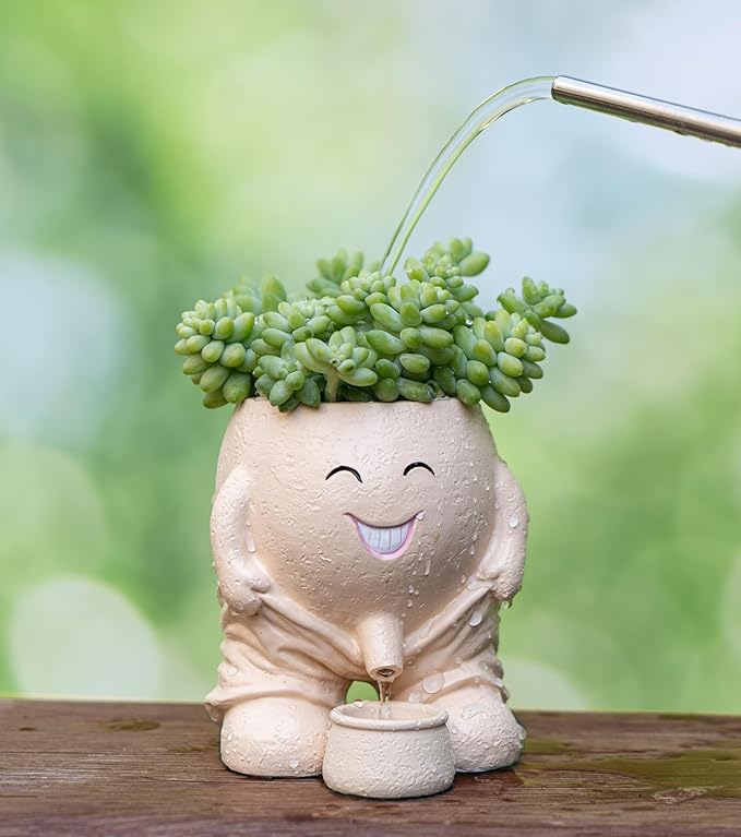 Quirky Creative Planter with Smiley Face,Naughty Boy Plant Face Pot with Drainage Hole,for Indoor Outdoor, Christmas, (Naughty Boy,Khaki)