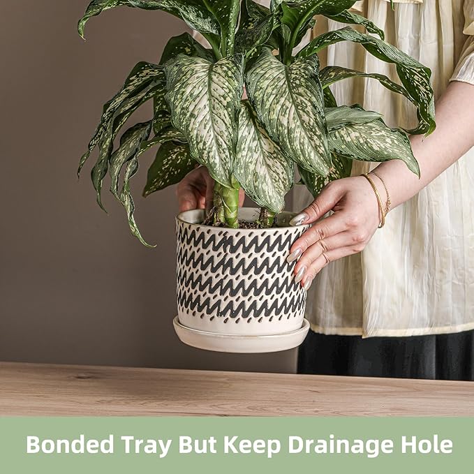 6 Inch Plant Pots: Ceramic Planter Pot with Drainage Hole & Saucer - Planters for Indoor/Outdoor Plants - Flower Pot with Bonded Tray for Home/Office - Wave Stripe Debossed