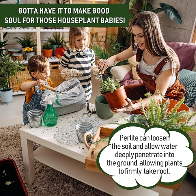 15QT Horticultural Perlite Bulk, Organic Perlite for Plants, Course Perlite for Gardening, for Plants Indoor, for Houseplants, to Promotes Soil Root Growth, and Water Drainage and Plant Growth(3-6mm)