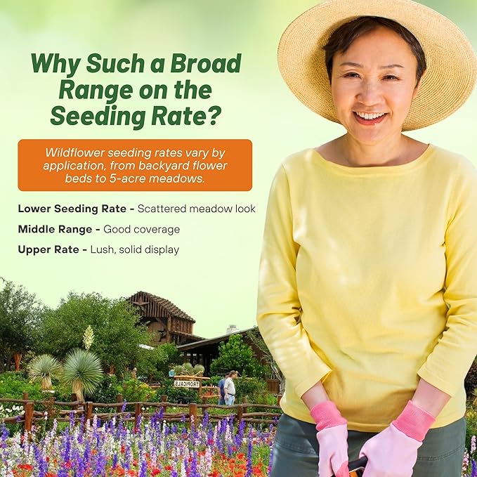 Outsidepride Texas & Oklahoma Wildflower Seed Mix - 1 lb. Drought-Tolerant, Blend of Annual & Perennial Flower Seeds for Vibrant, Pollinator-Friendly Gardens, Thrives in Full Sun & Well-Drained Soil