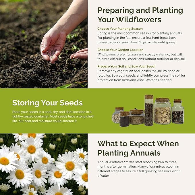 Eden Brothers Cloud 9 Flower Mixed Seeds for Planting, 5 lb, 2,400,000+ Seeds with White Candytuft, Cosmos Purity | Attracts Pollinators, Plant in Spring or Fall, Zones 3, 4, 5, 6, 7, 8, 9, 10