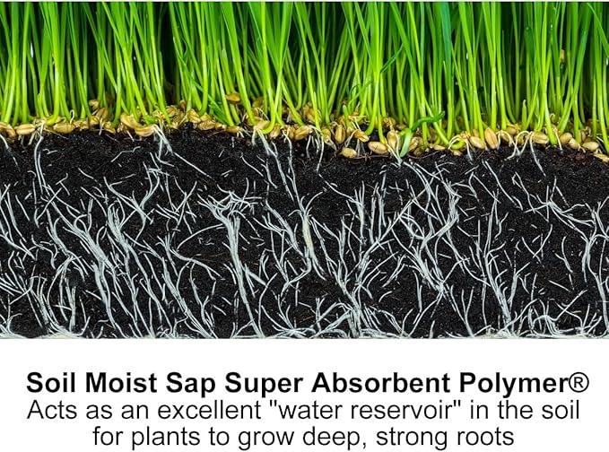 Small Granular Water Crystal for Grow Firm and Smooth Lawn and Keep Garden Plants Thriving (1 Pound)