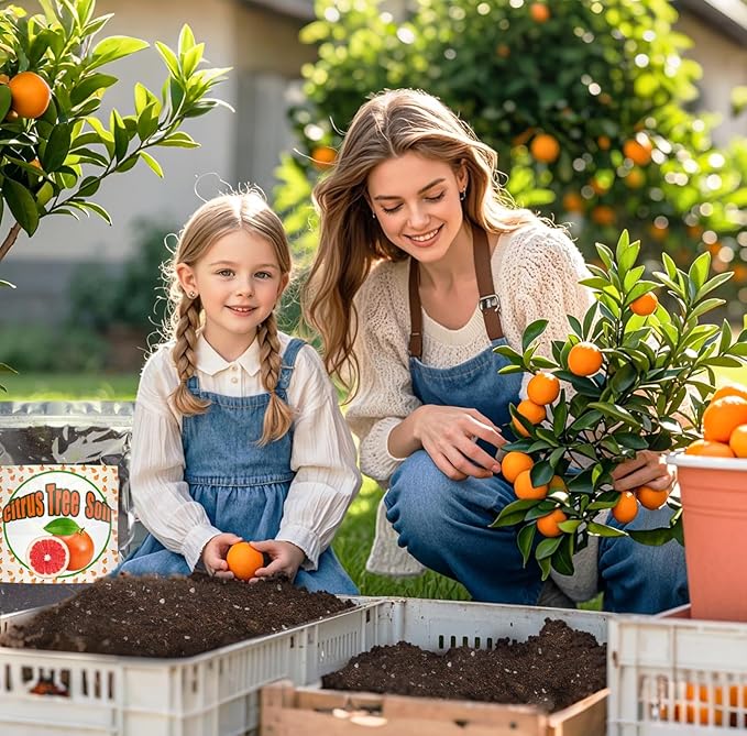 Citrus Tree Potting Soil Mix, Organic Loamy Potting Soil for Potted Lemon or Lime Tree, Special Blend for Indoor Oranges, Lemons, Limes and More