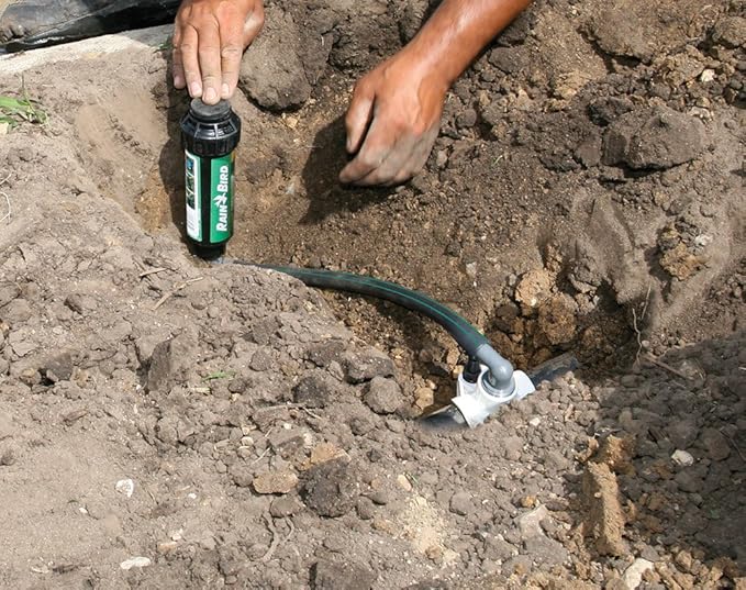 Rain Bird SWGP24INS EZ Pipe Flexible Swing Pipe, 2' Length (Pack of 2)