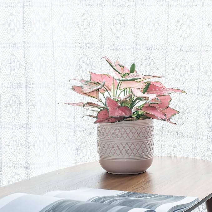 6 + 4.7 inch Flower Plant Pots Indoor Plants, Ceramic Planter with Drainage Hole, Pink Plant Pot for Succulent Orchid Snake Plants Cactus