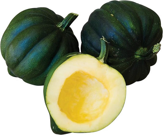 Burpee Early Acorn Hybrid Winter Squash Seeds 25 seeds