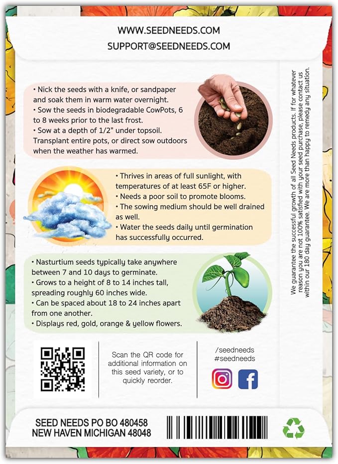 Seed Needs Double Gleam Nasturtium Seeds - 70 Heirloom Seeds for Planting Tropaeolum majus - Edible Flowers to Add to Salads, Grow in a Butterfly Garden to Attract Poillinators (1 Pack)