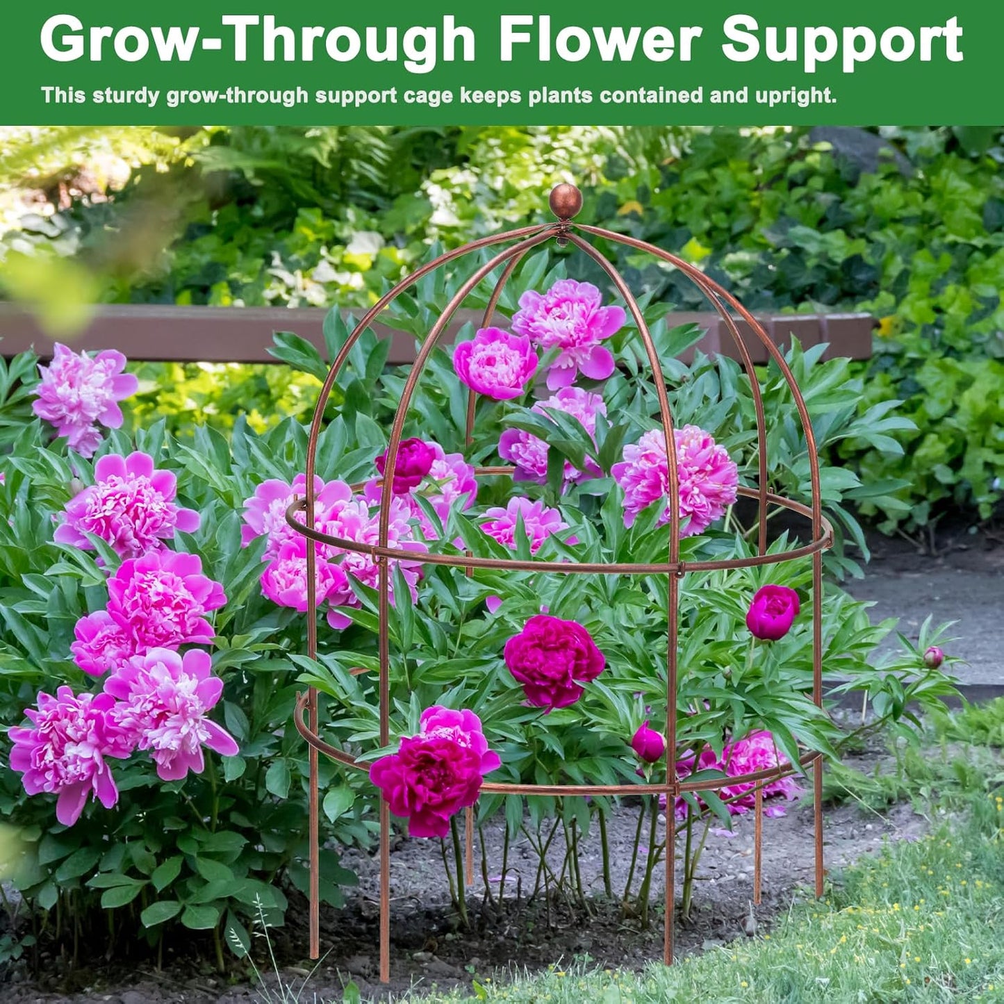 4 Pcs Jardin Bird Cage Plant Support 25" H Large Sturdy Grow-Through Flower Support Peony Cage Climbing Plant Support Trellis Sculptural Garden Decor for Perennial Flowers Vintage Gold