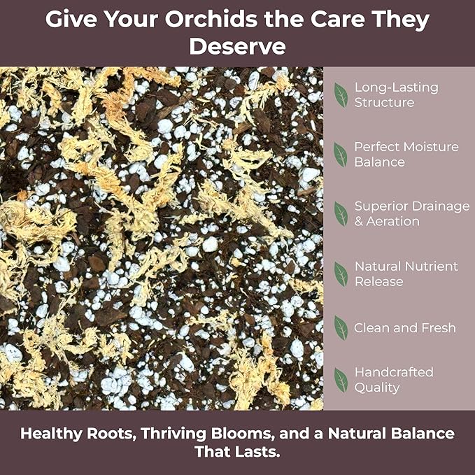Orchid Potting Mix – Orchid Bark, Sphagnum Moss, Tree Fern & Perlite for Repotting Phalaenopsis Orchids, Indoor Plants, Orchid Soil Medium – Sustrato para Orquídeas (3 Quart)