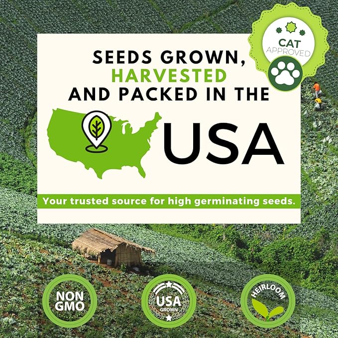 HOME GROWN 3200+ Cat Grass Seeds - Catnip Seeds, Alfalfa Seeds, Oat Seeds, and Oat & Barley Mix - Grow Cat Grass for Indoor Cats - Cat Grass Seeds Bulk - Refill Cat Growing Grass Kit