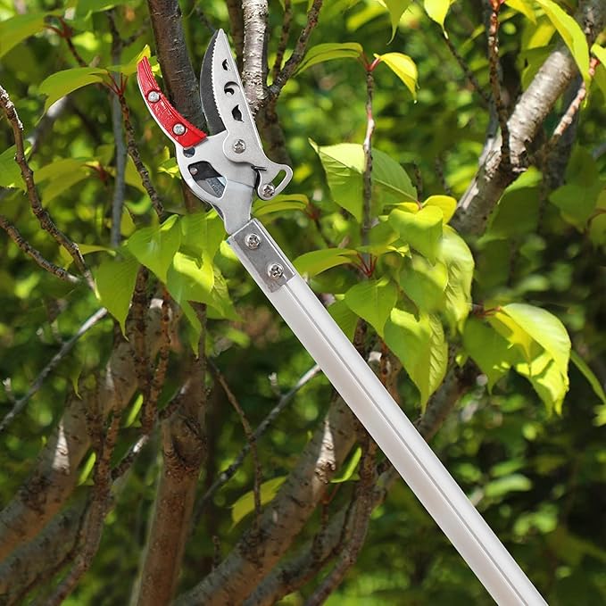 GARTOL Pruner for Garden, Cut Upto 1/2 Inch & Hold Pole Pruner, Lightweight Fruit Picker with 180 Degree Rotating Handle, Long Reach Tree Branch Cutter with Aluminum Pole, 4.2 FT, Silver