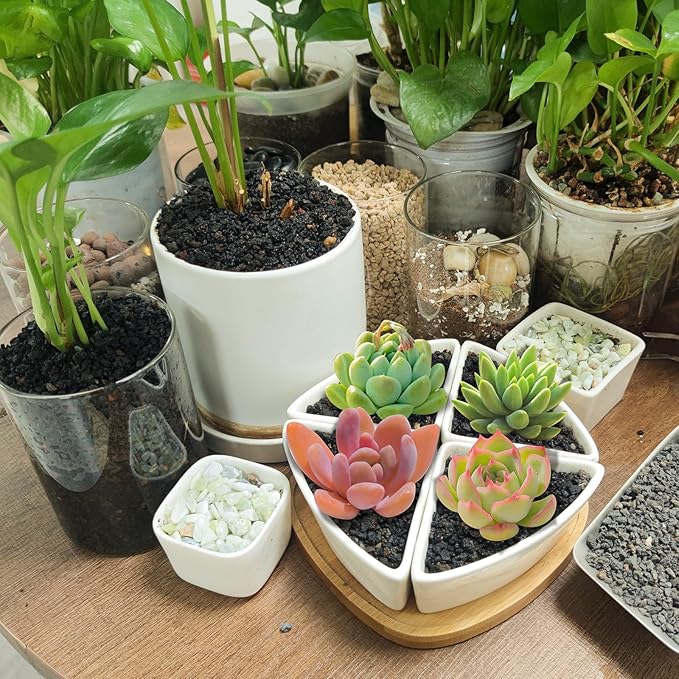 45Lb Horticultural Lava Rock-Lava Rocks for Plants,Succulent Soil Amendment,Decorative Cactus Soil Potting Mix,Volcanic Rock for Aquarium Fairy Gardening Top Dressing Plant Drainage