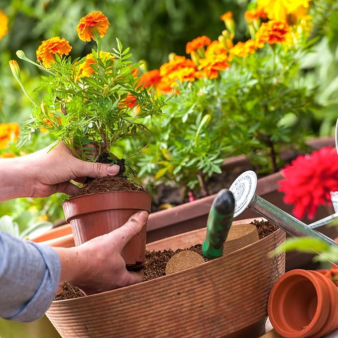 ZeeDix 100 Pcs 40mm Organic Coco Coir Pellets, Compressed Coconut Coir Seed Starter Soil Expanding Soil Discs Potting Soil Dirt Pellets for Planting Bonsai, Herbs, Plants, Flowers and Vegetables