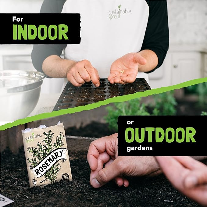 Culinary Herb Seeds Variety Pack: 15 Heirloom Garden Seeds Basil Cilantro Parsley Chives Thyme Oregano Dill Rosemary Arugula Tarragon Lavender Lemon Balm Marjoram Rosemary & Sage by Sustainable Sprout