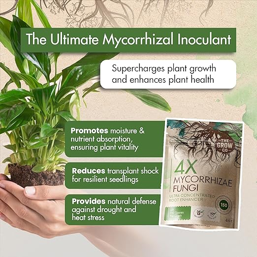 4oz 4X Mycorrhizae for Plants - Mycorrhizal Inoculant - Root Enhancer & Concentrated Myco, Superior Mycorrhizal for Plants, Ideal Mycorrhizae Powder for Increased Nutrient Uptake & Stronger Roots