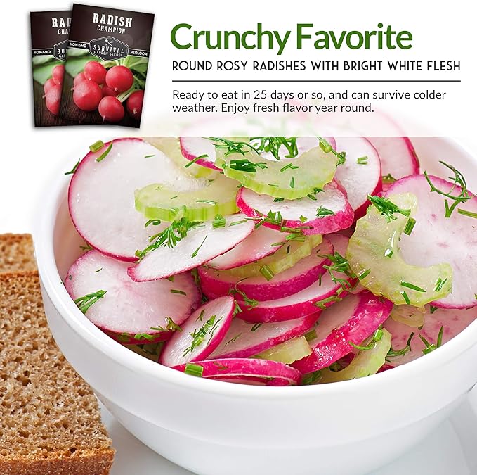 Survival Garden Seeds - Champion Radish Seed for Planting - Packet with Instructions to Plant and Grow Red Radishes in Your Home Vegetable Garden - Non-GMO Heirloom Variety Vegetable Seed