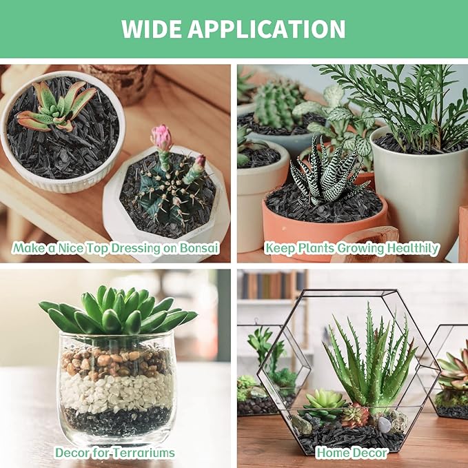 Legigo 10QT All Natural Horticultural Charcoal- Activated Hardwood Plant Charcoal for Soil Amendment, Conditioning Bonsai Soil, Succulent Soil, Terrarium Supplies, Indoor Plant Potting Soil