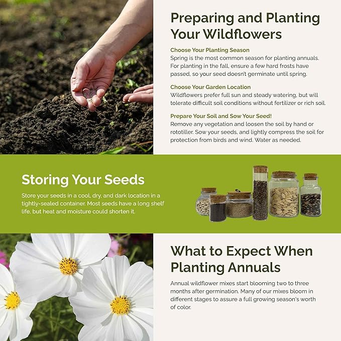 Eden Brothers Moon Garden Flower Mixed Seeds for Planting, 1 lb, 480,000+ Seeds with Cosmos Purity, Bishop's Flower | Attracts Pollinators, Plant in Spring or Fall, Zones 3, 4, 5, 6, 7, 8, 9, 10