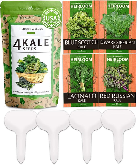 HOME GROWN 700+ Kale Seeds for Planting Outdoors or Hydroponics - Heirloom Leafy Greens Seeds 4 Variety Pack: Non-GMO Lacinato (Tuscan/Dino Kale), Blue Scotch, Dwarf Siberian, Red Russian Kale