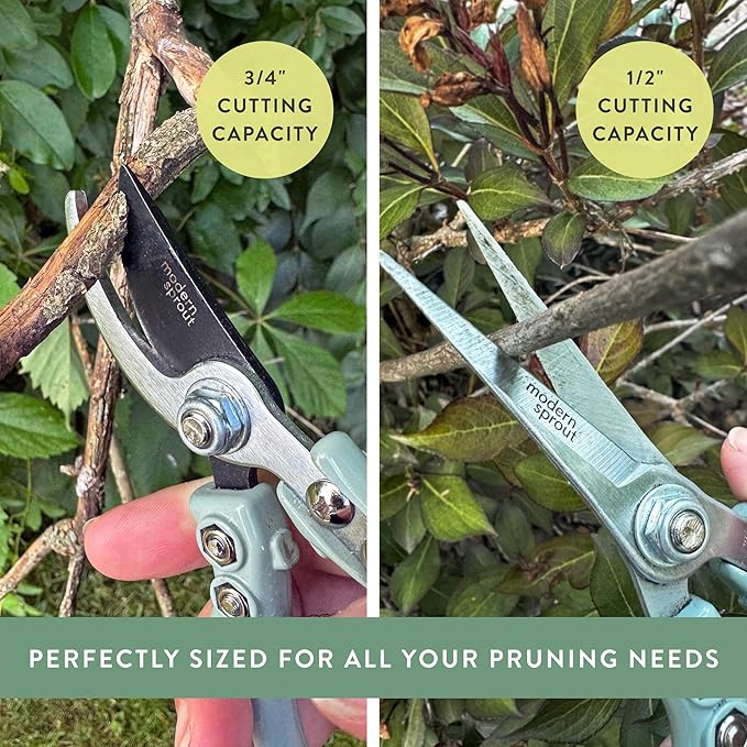 Modern Sprout Gardening Shears & Pruners 2-pack, Lightweight, Durable, One Size (Sage)