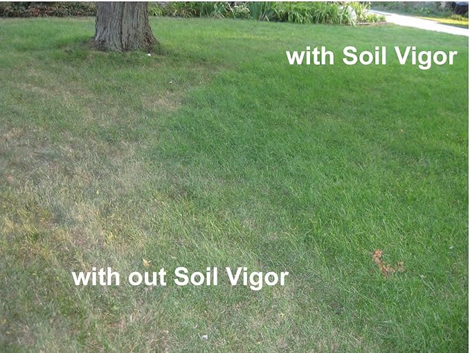 Potassium Polyacrylate for Garden Lasts Up to 7 Years in Soil (1)