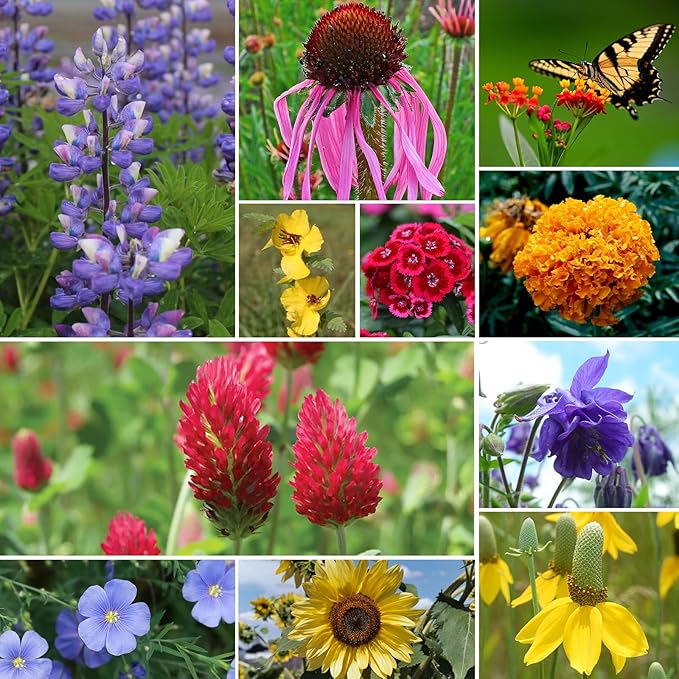 Wildflower Seeds Bulk, 4 Oz, 100,000+ Seeds, 26 Variety Flowers Seeds Mix Seeds for Planting, Annual Perennial Butterfly Garden Seeds for Attracting Birds and Bees