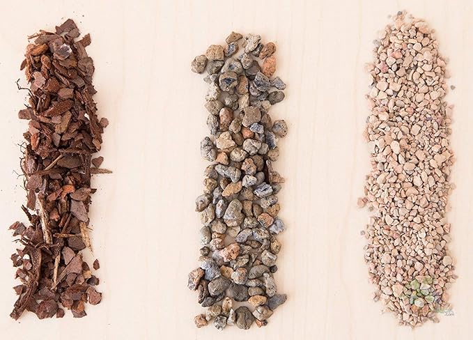 Succulent and Cactus Soil - Jacks Gritty Mix - 3 Gallons – Fast Draining – Fight Root Rot – Optimized pH