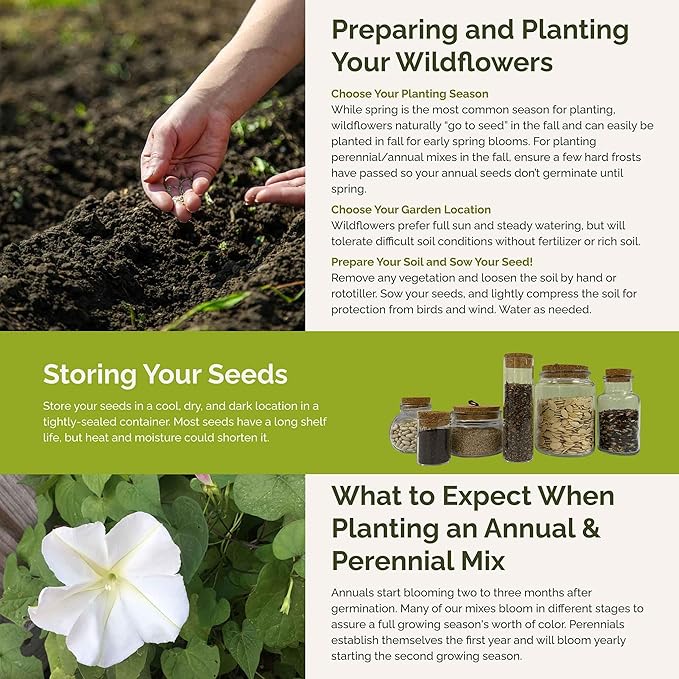 Eden Brothers Top O The Morning Flower Mixed Seeds for Planting, 10 lb, 4,800,000+ Seeds with Morning Glory, Moonflower | Attracts Pollinators, Plant in Spring or Fall, Zones 3, 4, 5, 6, 7, 8, 9, 10