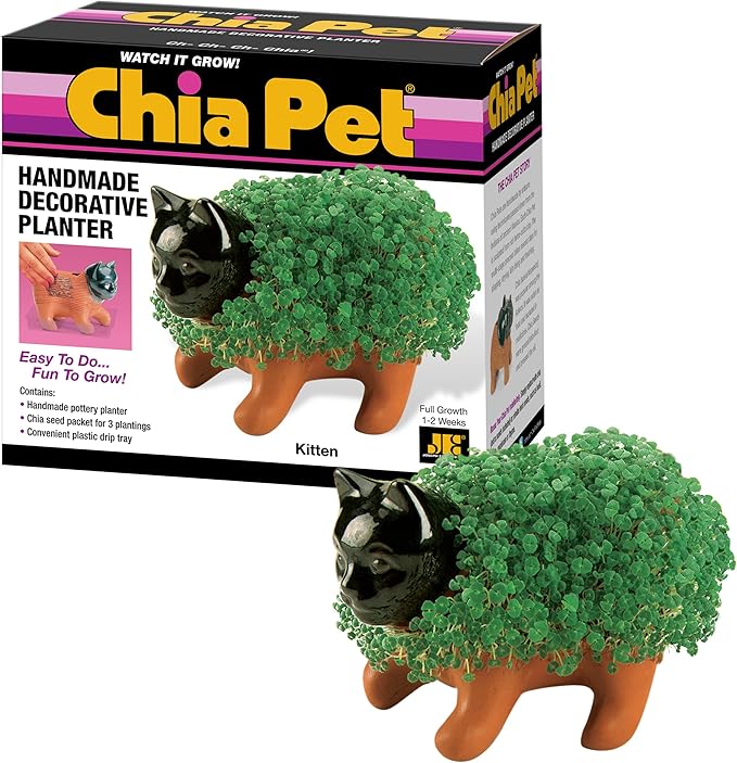 Chia Pet Kitten with Seed Pack, Decorative Pottery Planter, Easy to Do and Fun to Grow, Novelty Gift, Perfect for Any Occasion